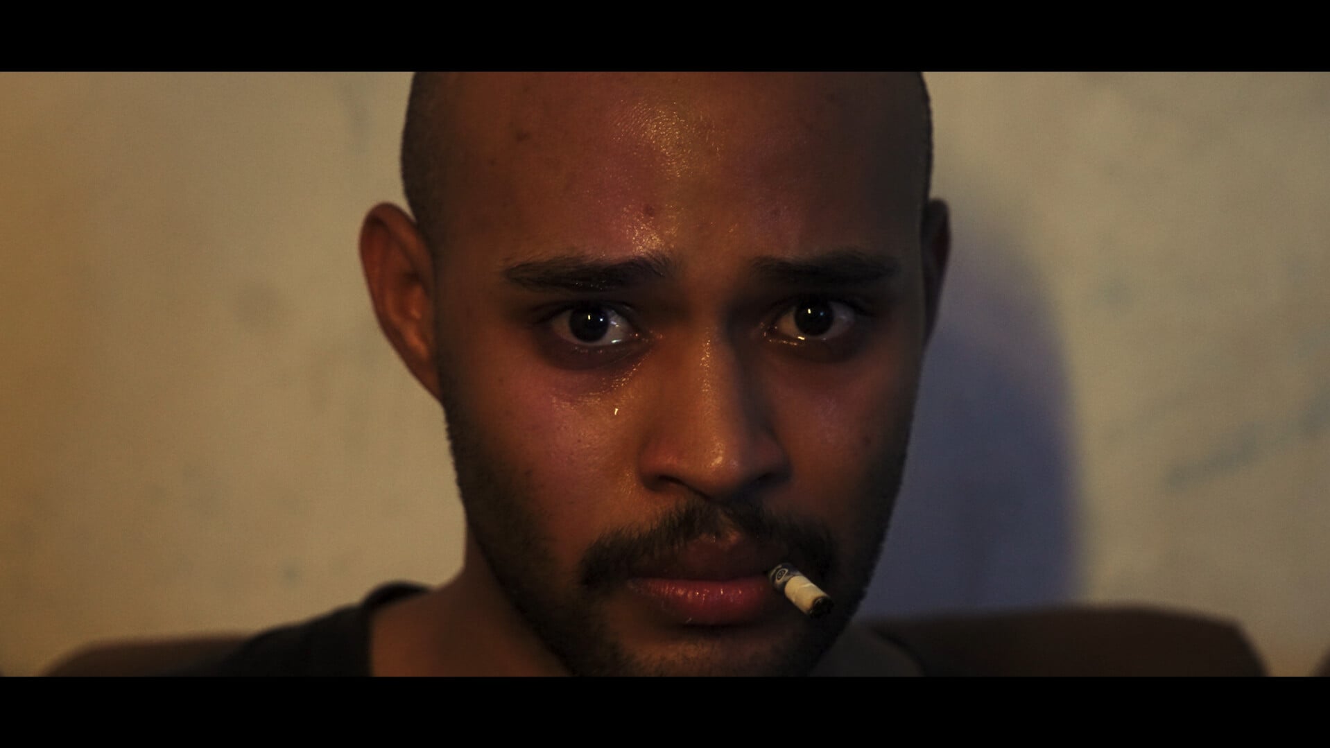 Photo 1 Captura_de_tela_2025-01-15_131153 Photo 1 Captura_de_tela_2025-01-15_131153