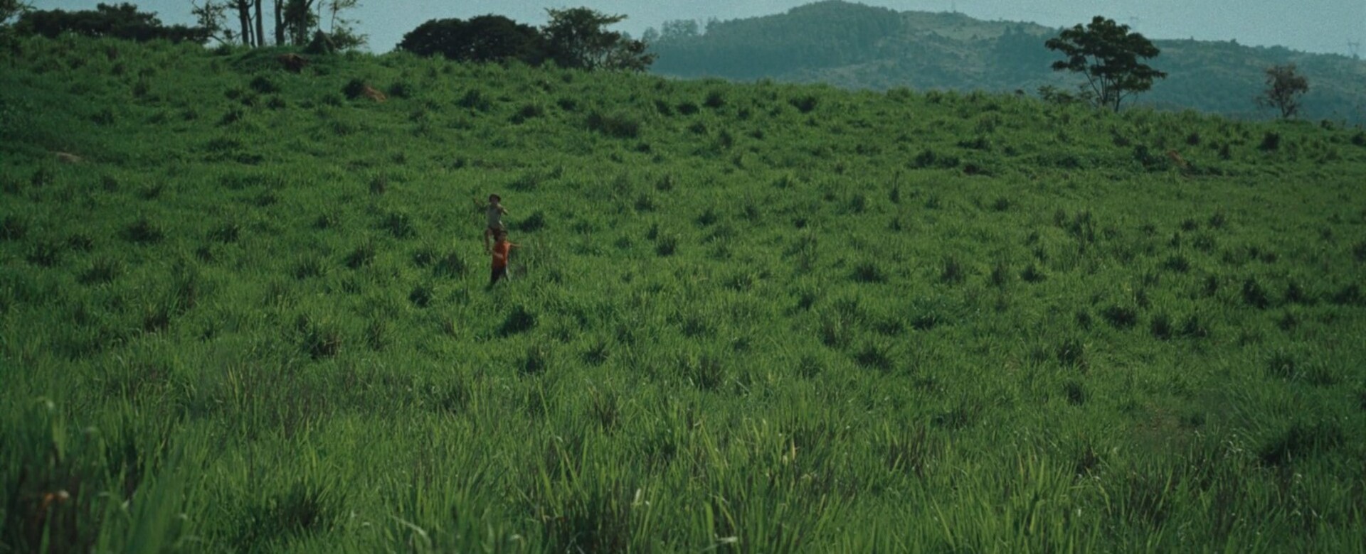 Photo 1 WhatsApp_Image_2024-01-05_at_16.25.56_1