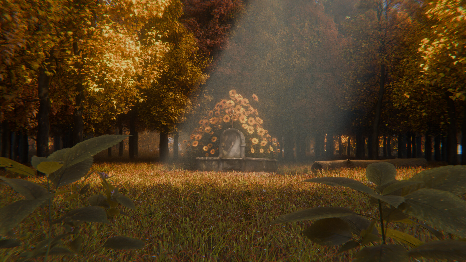 Photo 2 A_Herana_imagem2 Photo 2 A_Herana_imagem2