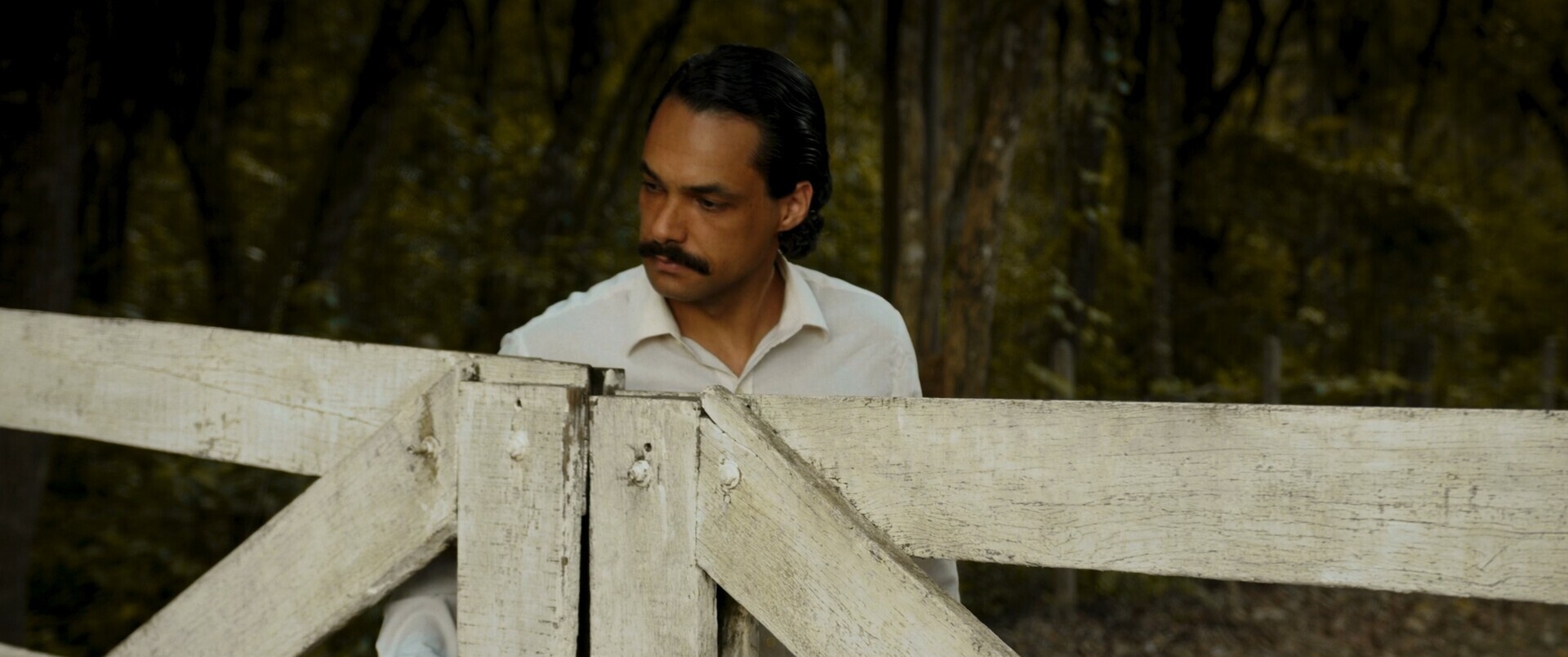 Photo 2 Still_2025-04-30_122746_1.1.11 Photo 2 Still_2025-04-30_122746_1.1.11