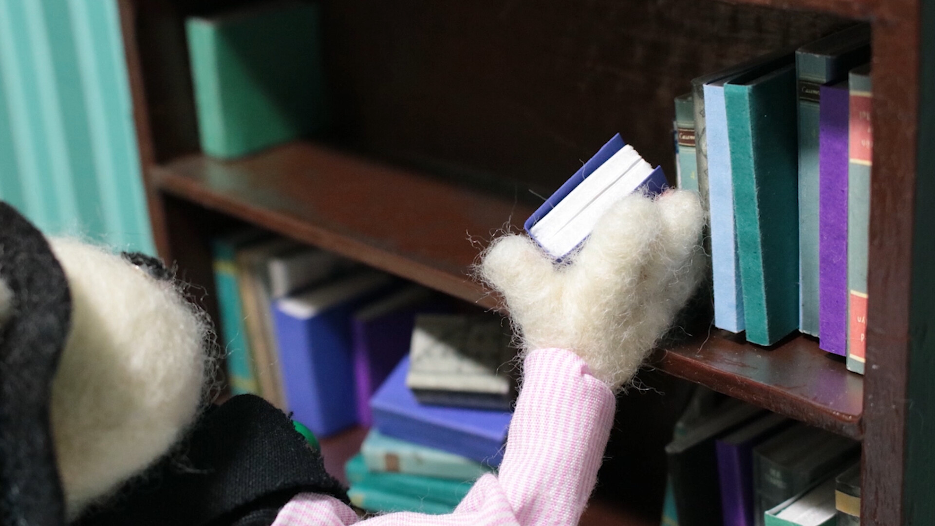 Photo 3 Curta_-_Vida_De_Coelho_0-00-35-13