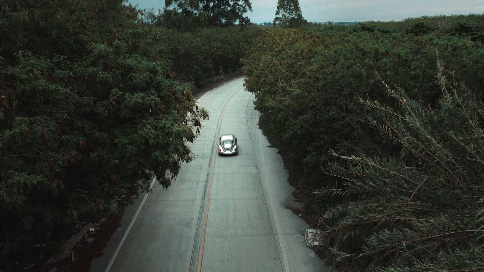 Photo 3 ERVA_DANINHA_0901.mp4.00_00_21_15.Still005