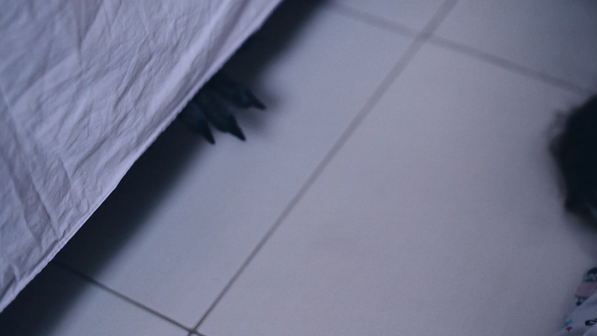 Photo 3 Sequncia_02.00_04_41_00.Quadro005