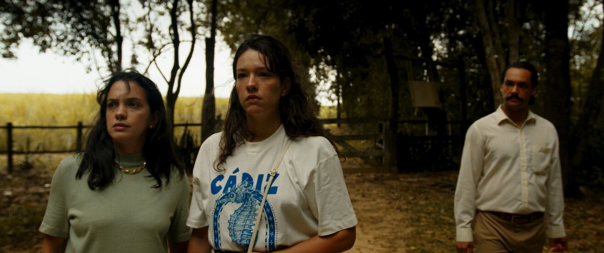 Photo 3 Still_2025-04-30_122746_1.1.14 Photo 3 Still_2025-04-30_122746_1.1.14