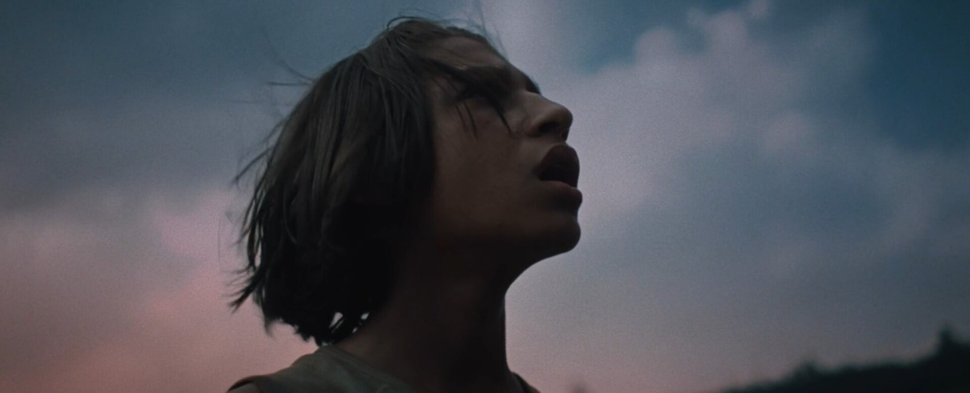 Photo 3 WhatsApp_Image_2024-01-05_at_16.25.56