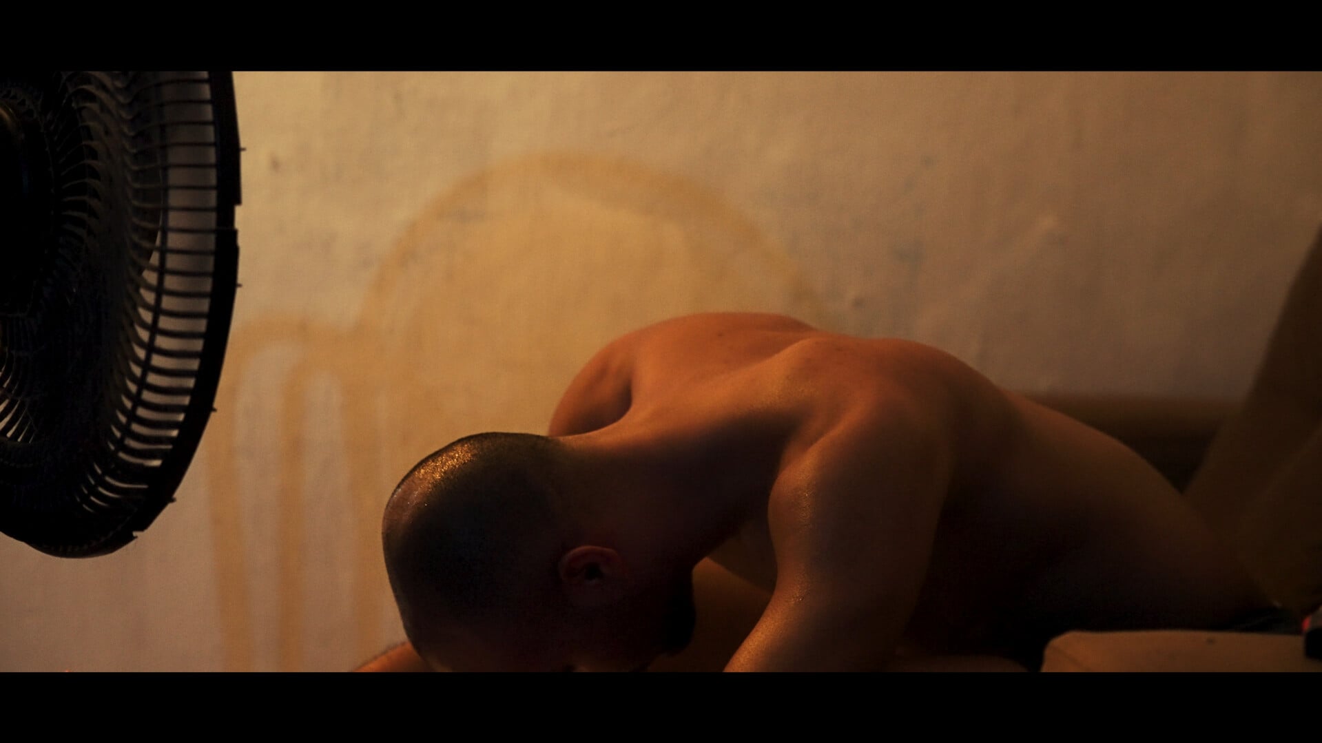 Photo 4 Captura_de_tela_2025-01-15_131207 Photo 4 Captura_de_tela_2025-01-15_131207