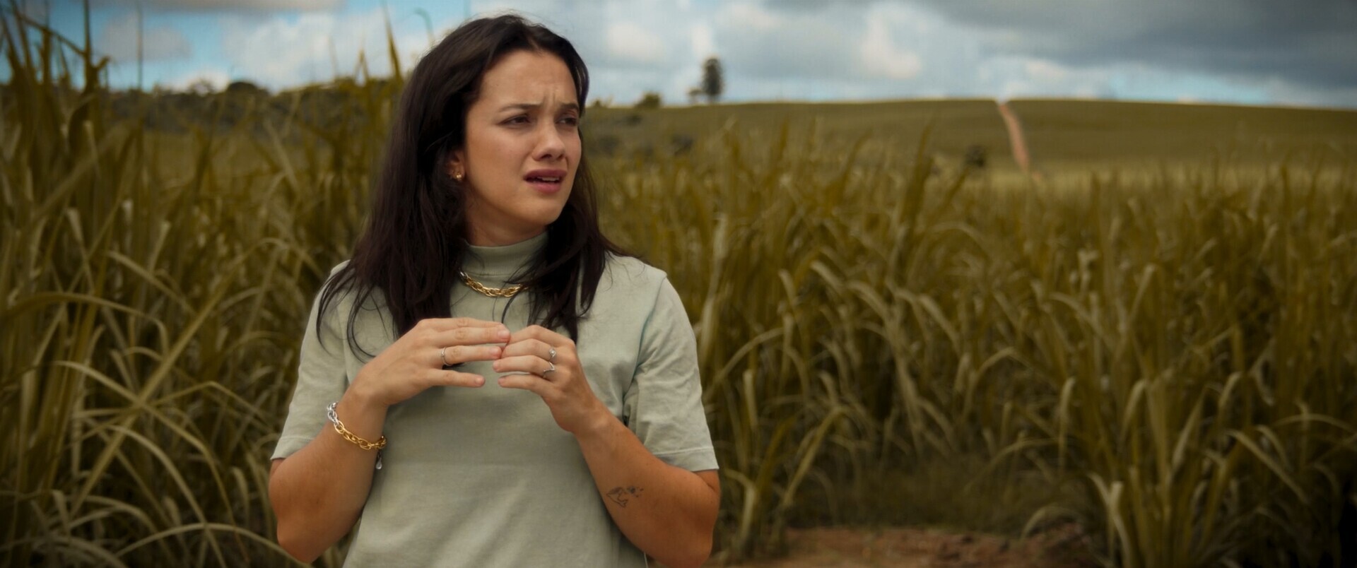 Photo 4 Still_2025-04-30_122746_1.1.6_1 Photo 4 Still_2025-04-30_122746_1.1.6_1