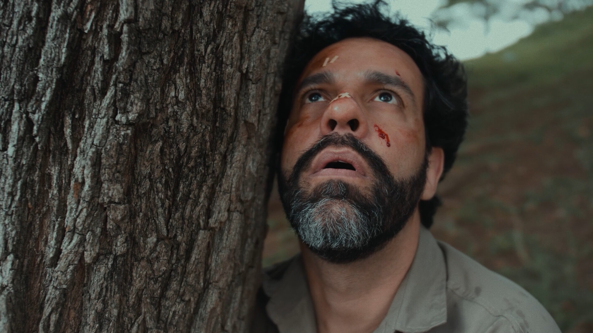 Photo 6 ERVA_DANINHA_0901.mp4.00_07_44_11.Still004