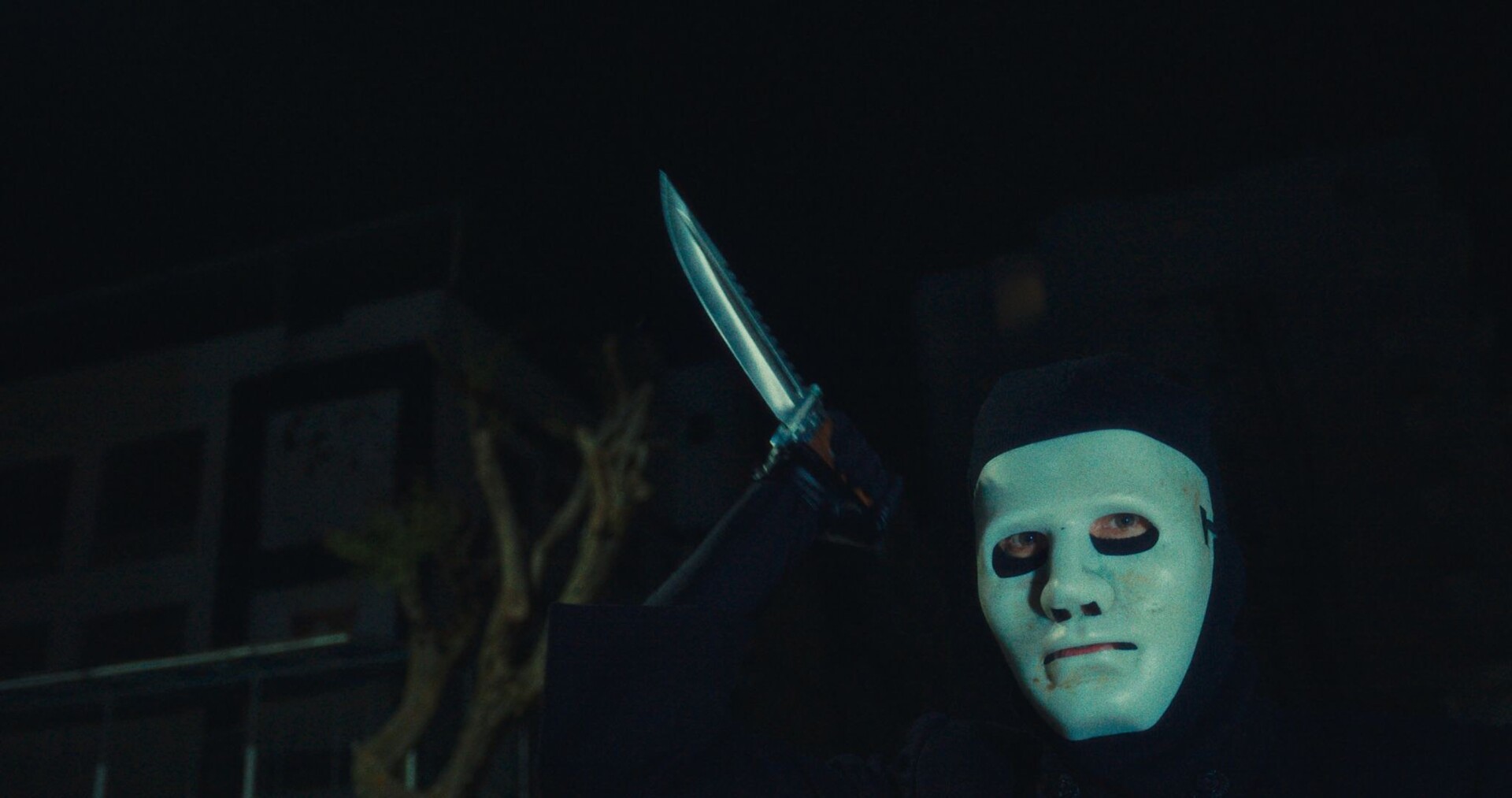 Photo 6 IMG_2372 Photo 6 IMG_2372