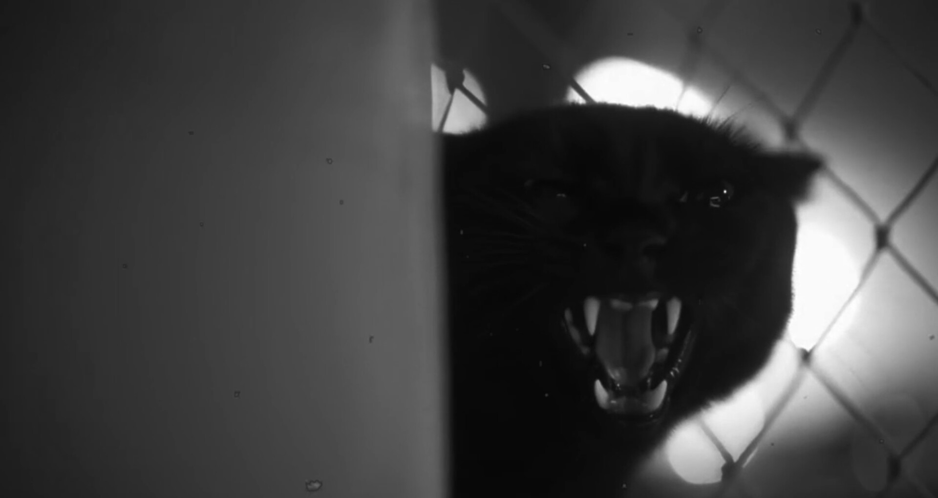 Photo 6 precipitacao_still_4