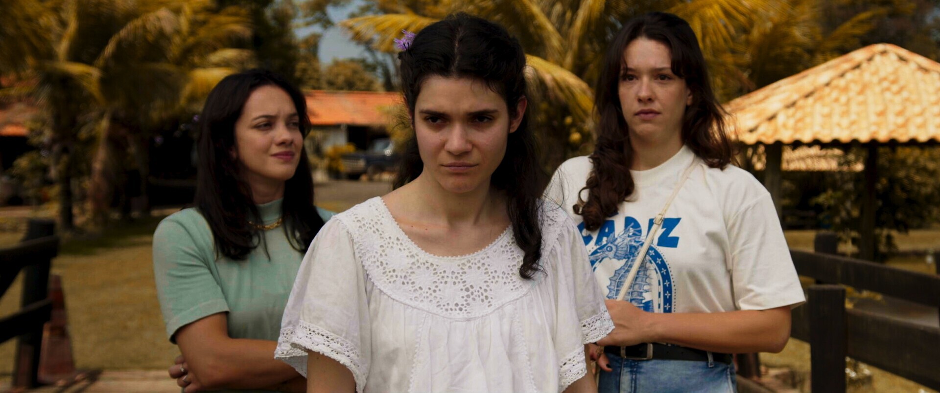 Photo 8 Still_2025-05-08_130130_1.9.1 Photo 8 Still_2025-05-08_130130_1.9.1