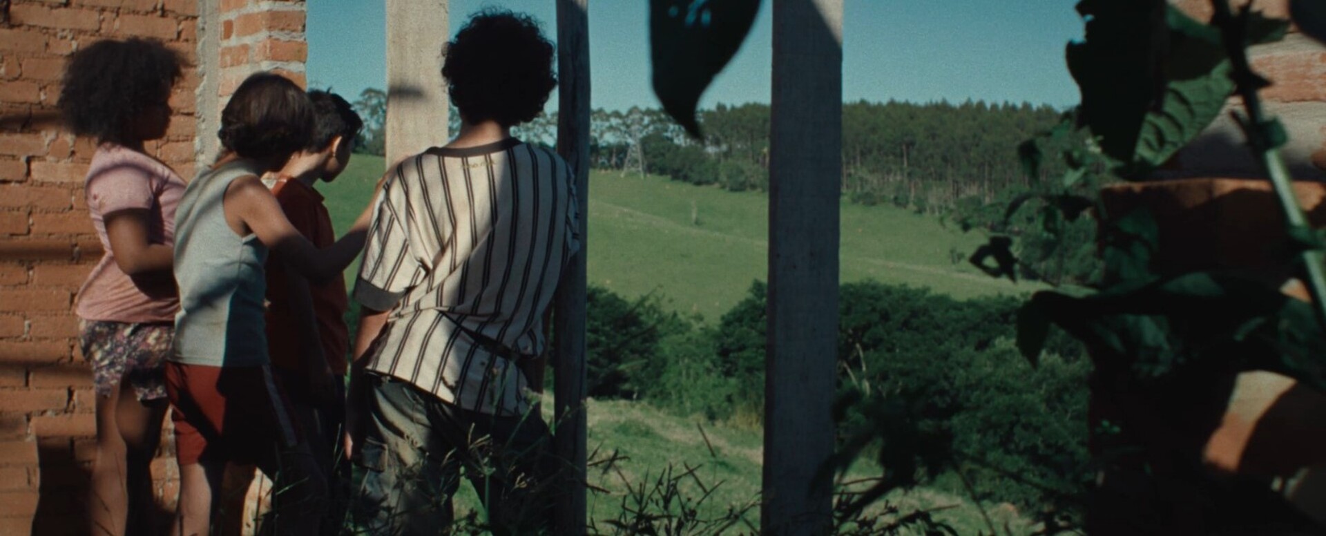 Photo 8 WhatsApp_Image_2024-01-05_at_16.25.56_5