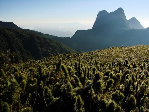 Fotos: Prefeitura de Campina Grande do Sul
